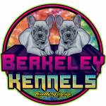 Berkeley Kennels Profile Picture