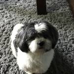 Katmini Profile Picture