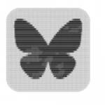 The BlackSky Algorithm on BSKY Profile Picture
